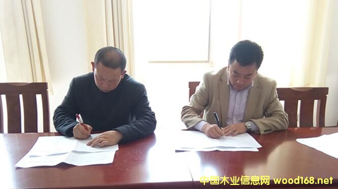 山東富友木業(yè)、沂蘭山魯盛木業(yè)等落戶平邑縣高端木業(yè)產(chǎn)業(yè)園