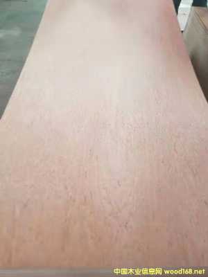 的詳細介紹