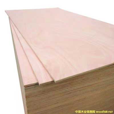 的詳細介紹