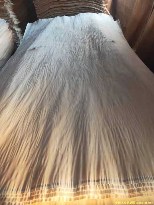 的詳細介紹