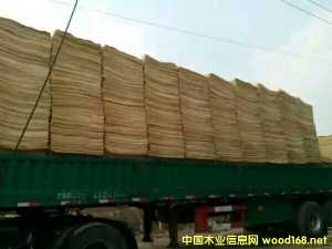 的詳細介紹