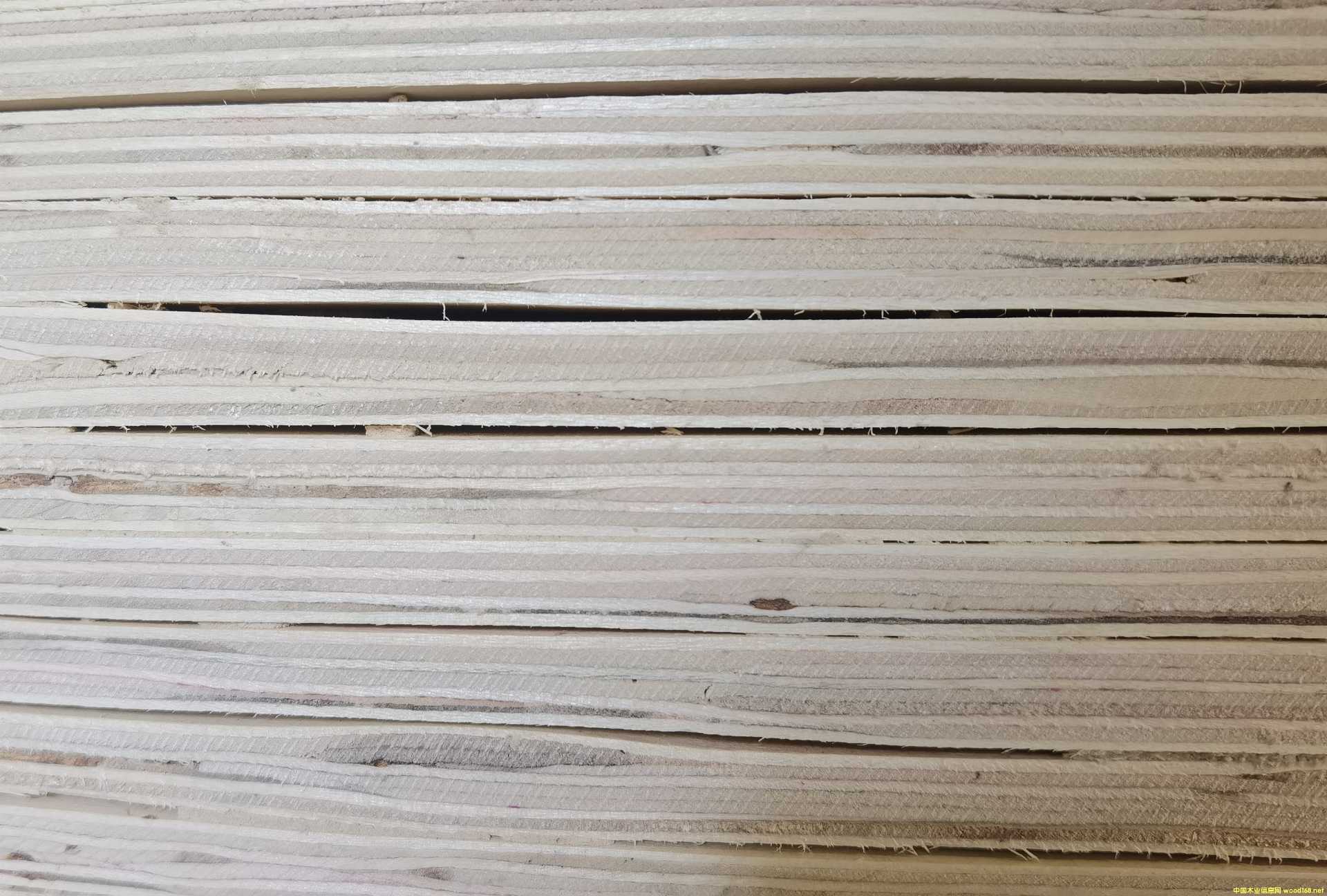 的詳細介紹