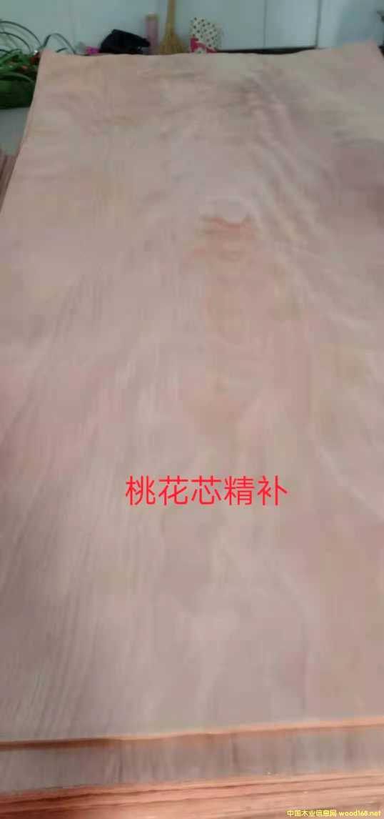 的詳細介紹