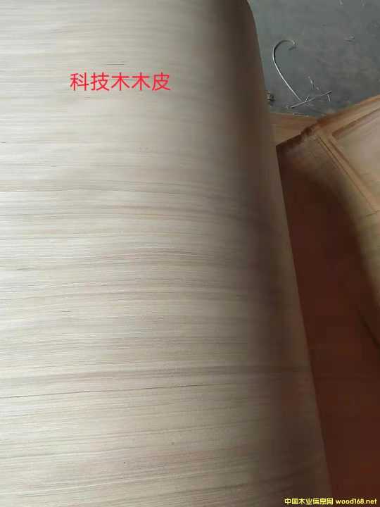 的詳細介紹