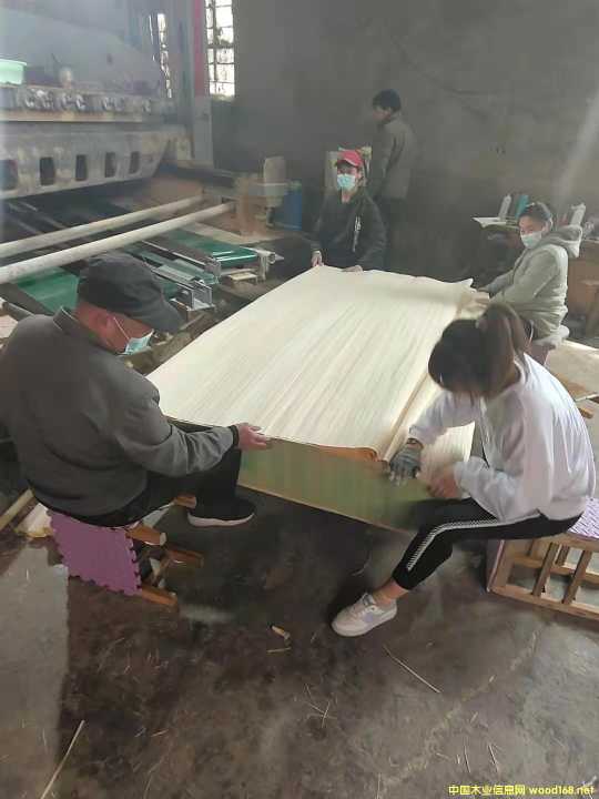 的詳細介紹