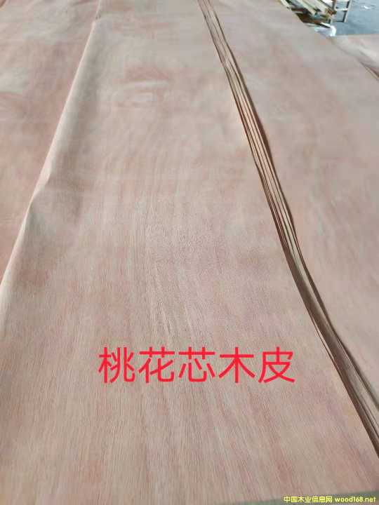 的詳細介紹