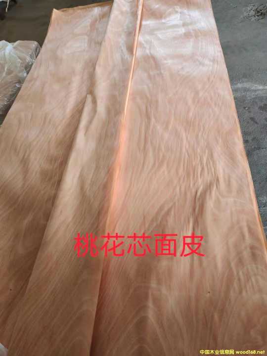 的詳細介紹