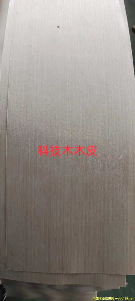 的詳細介紹
