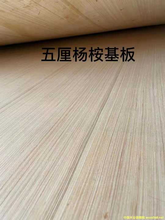 的詳細介紹