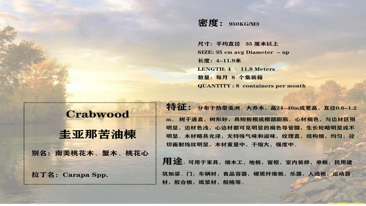 灆ǿ鬵ԔB