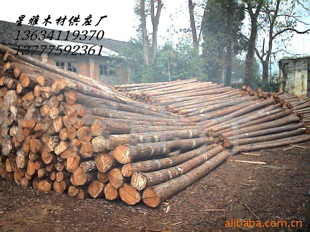 杉木原材的詳細介紹