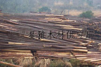 杉木原材的詳細介紹
