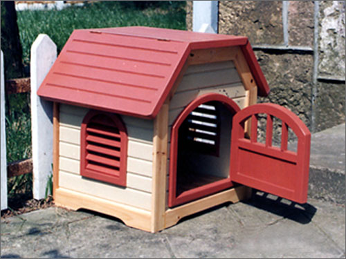 ؈ CAT HOUSEԔB